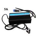 Standard-Ladegerät 72V 5A (Ladezeit unter 5h)